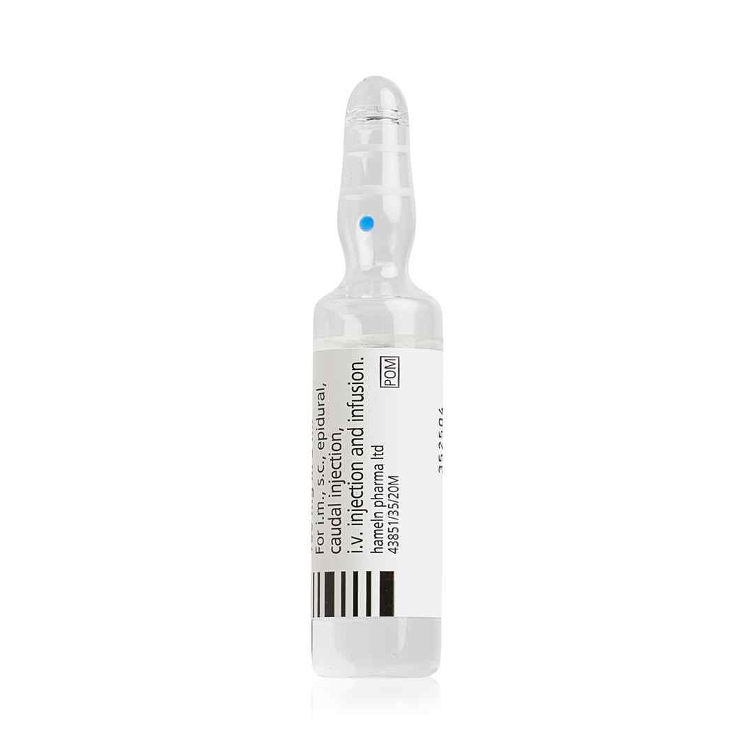 Lidocaine Hydrochloride 2% (5ml each) - Image 2