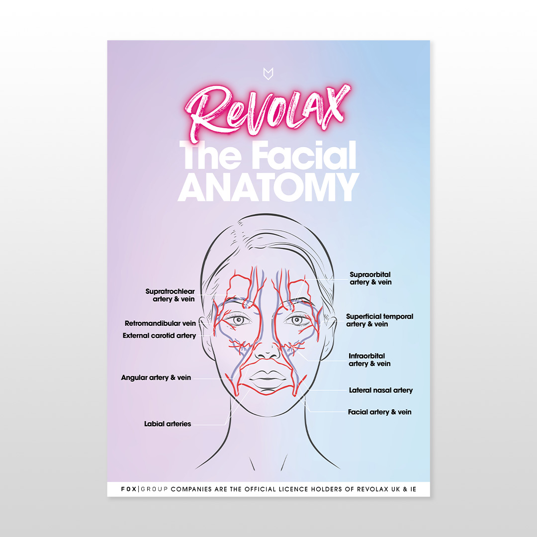 REVOLAX Anatomy Poster (A2)
